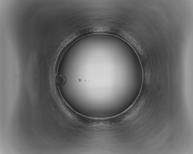 X0000112080721200908041253