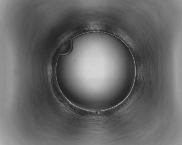X0000112080722200908041253