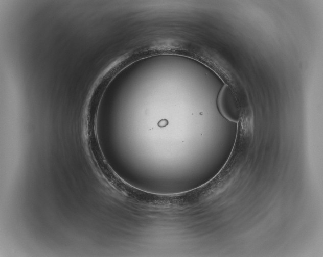 X0000112080724200908041253