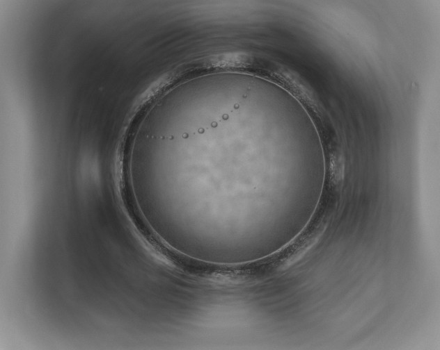 X0000112080725200908041253