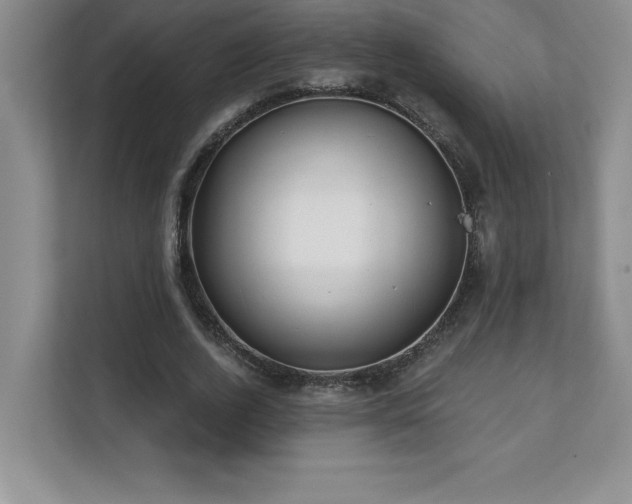 X0000112080728200908041253