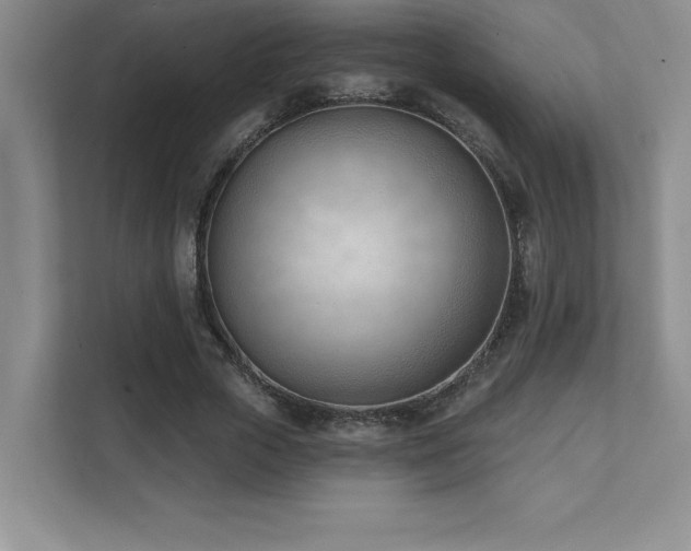 X0000112080729200908041253
