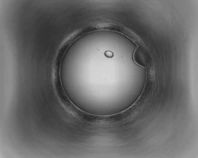 X0000112080732200908041253