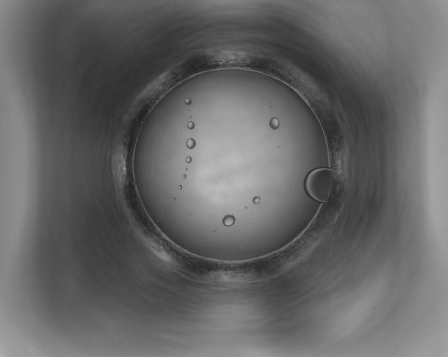 X0000112080733200908041253