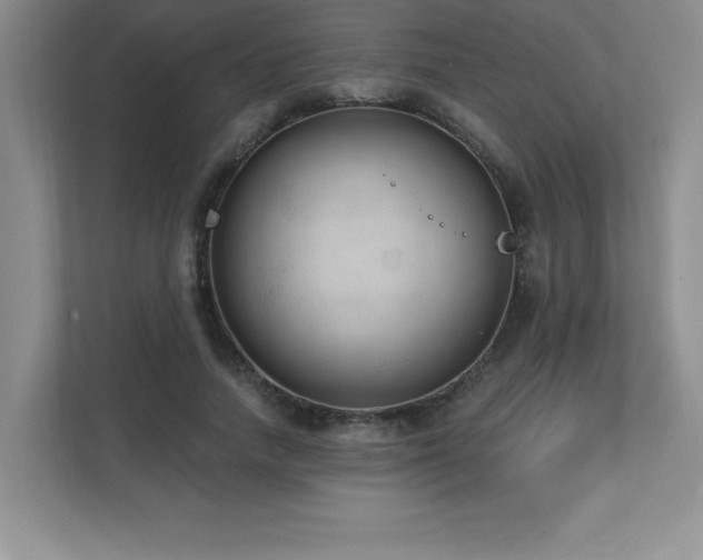 X0000112080738200908041253
