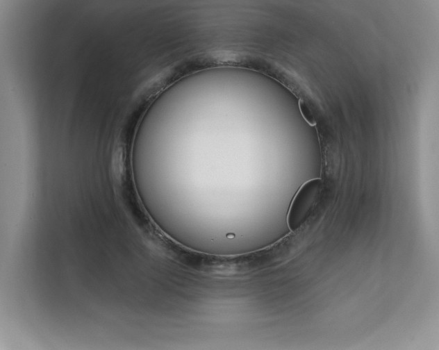 X0000112080740200908041253