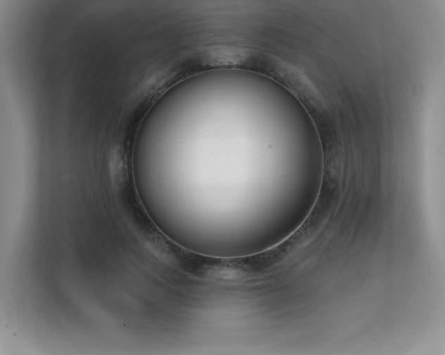 X0000112080743200908041253