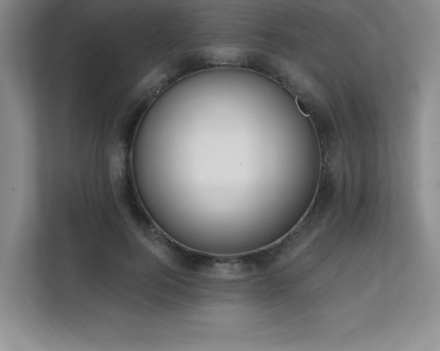 X0000112080744200908041253