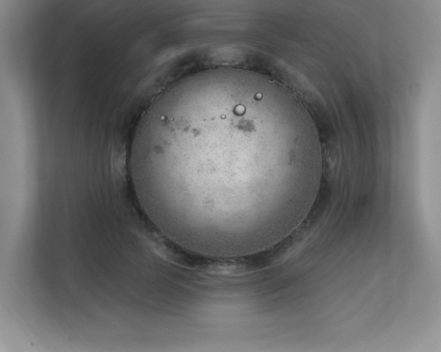X0000112080745200908041253