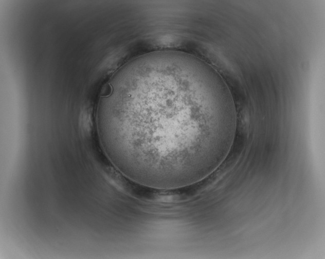 X0000112080746200908041253