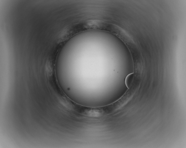 X0000112080751200908041254