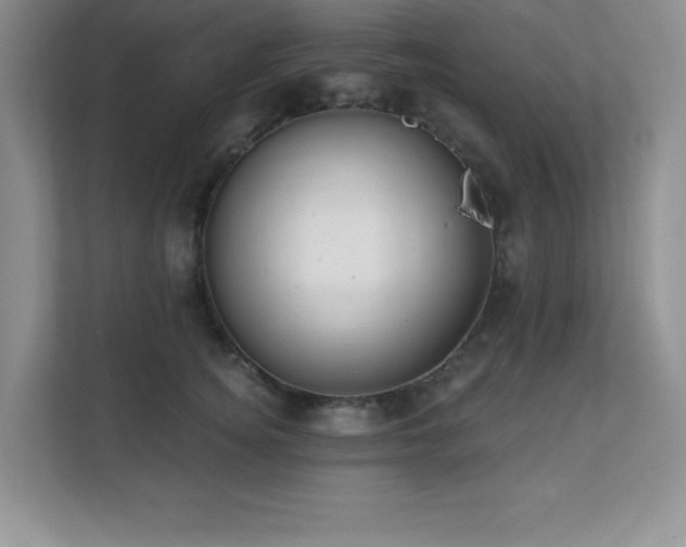 X0000112080756200908041254