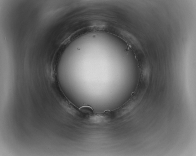 X0000112080759200908041254