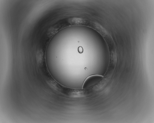X0000112080760200908041254