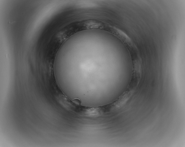 X0000112080761200908041254