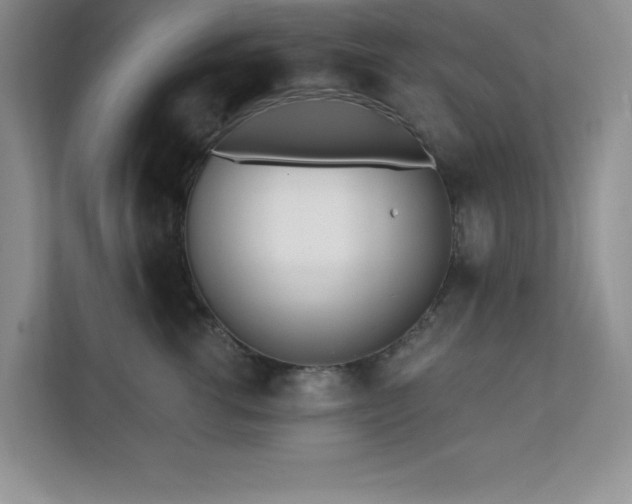 X0000112080762200908041254