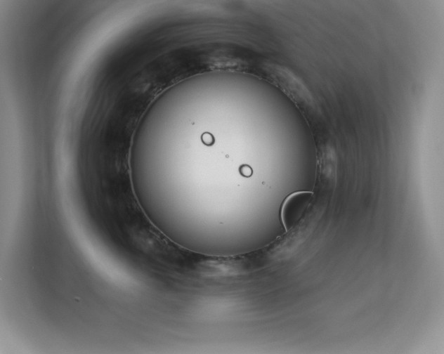 X0000112080763200908041254