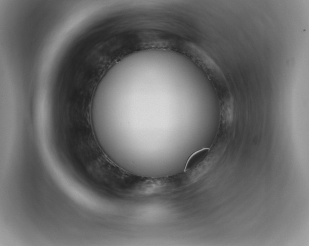 X0000112080764200908041254