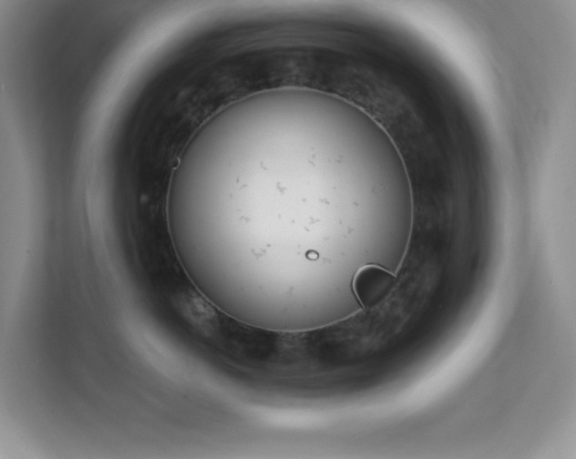 X0000112080766200908041254