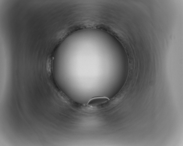 X0000112080768200908041254
