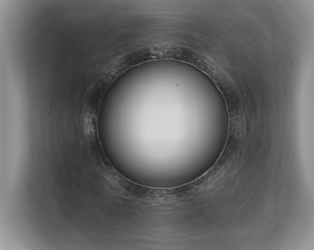 X0000112080770200908041253
