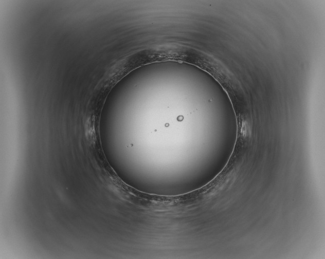 X0000112080771200908041253