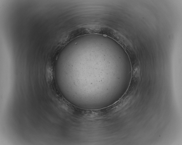 X0000112080772200908041253