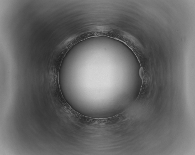 X0000112080773200908041253