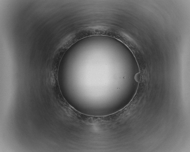 X0000112080774200908041253