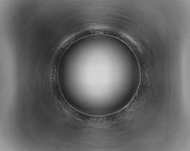 X0000112080775200908041253