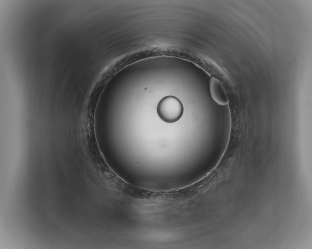 X0000112080776200908041253