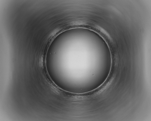 X0000112080777200908041253