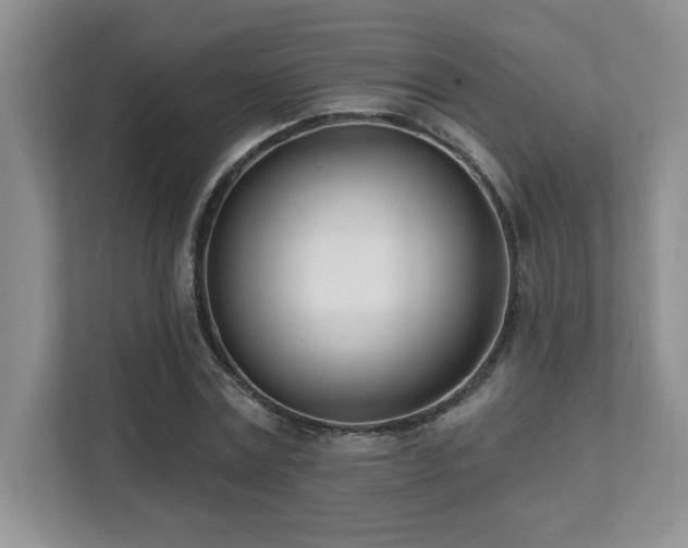 X0000112080779200908041253