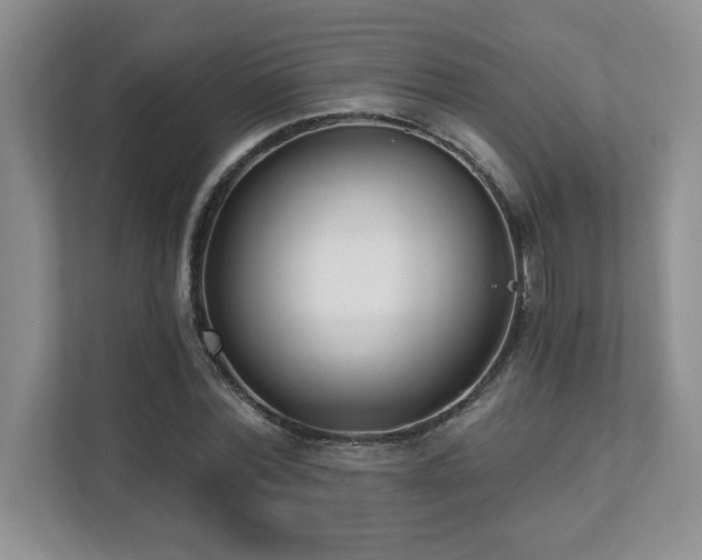X0000112080780200908041253