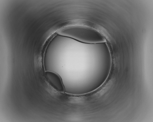 X0000112080781200908041253
