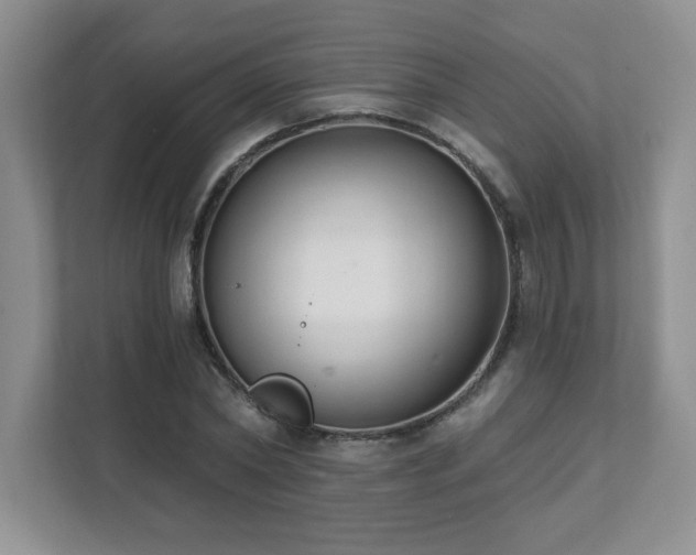 X0000112080782200908041253