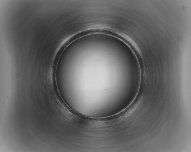 X0000112080783200908041253