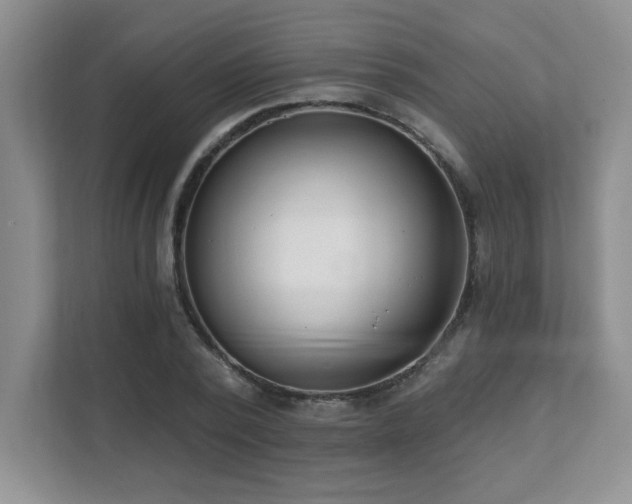 X0000112080784200908041253