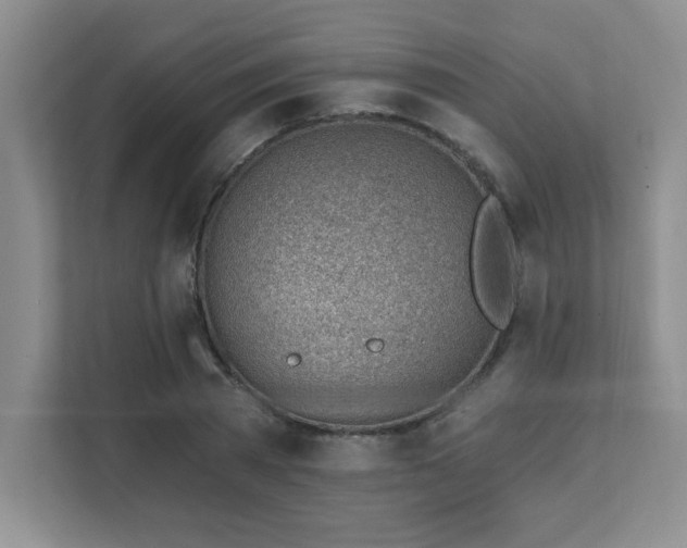 X0000112080785200908041253