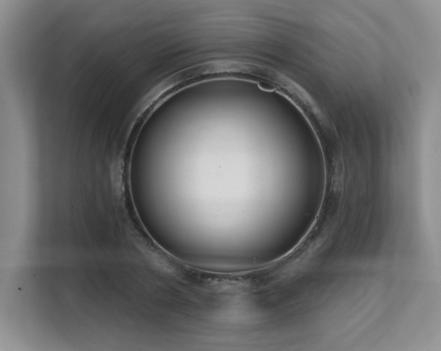 X0000112080786200908041253
