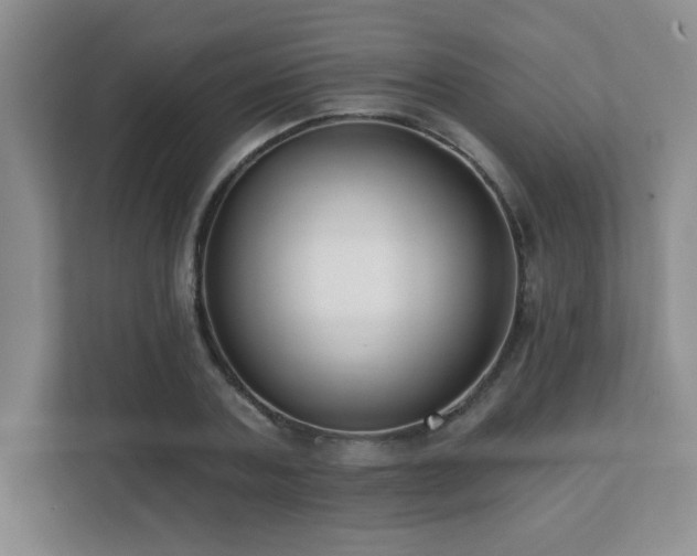 X0000112080787200908041253