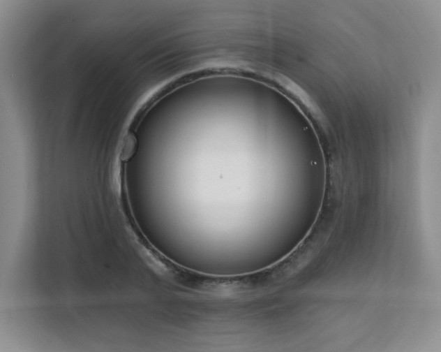 X0000112080791200908041253