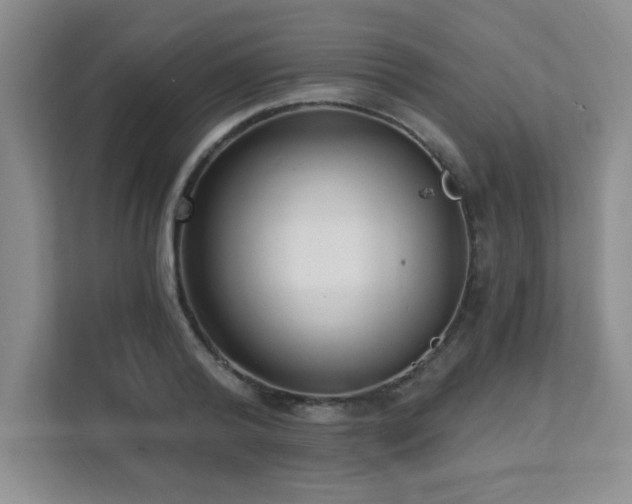 X0000112080792200908041253