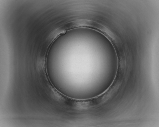 X0000112080793200908041253