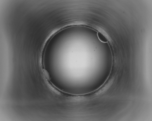 X0000112080797200908041253