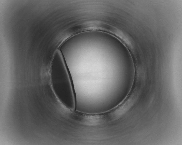 X0000112080801200908041253