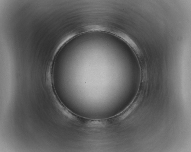 X0000112080806200908041253