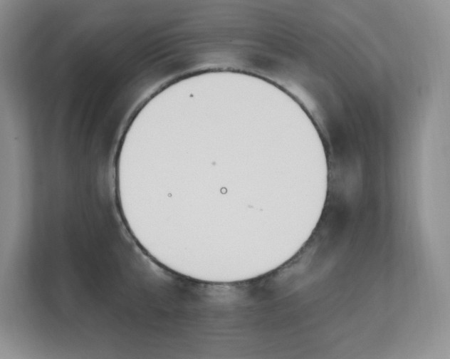 X0000112080807200908041253