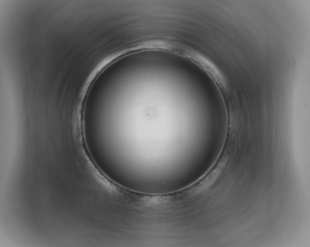 X0000112080808200908041253