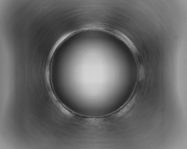 X0000112080812200908041253